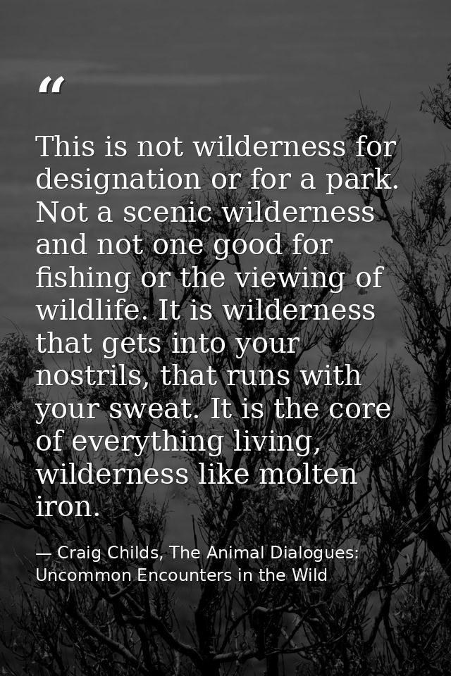 This is not wilderness for designation or for a park. Not a scenic wilderness and not one good for fishing or the viewin — Craig Childs, The Animal Dialogues: Uncommon Encounters in the Wild