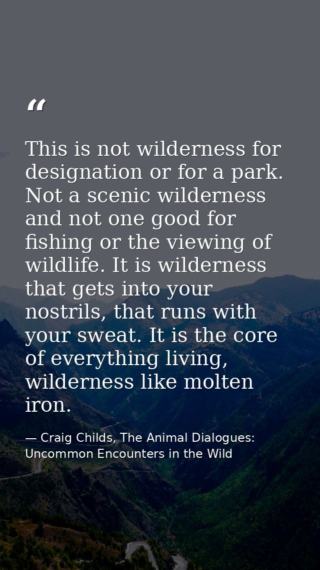 This is not wilderness for designation or for a park. Not a scenic wilderness and not one good for fishing or the viewin — Craig Childs, The Animal Dialogues: Uncommon Encounters in the Wild