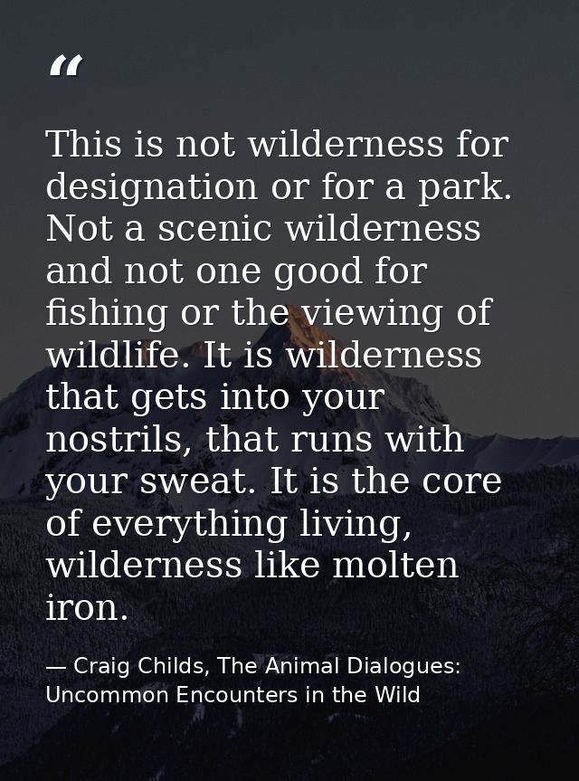 This is not wilderness for designation or for a park. Not a scenic wilderness and not one good for fishing or the viewin — Craig Childs, The Animal Dialogues: Uncommon Encounters in the Wild