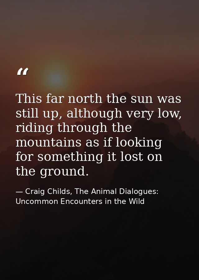 This far north the sun was still up, although very low, riding through the mountains as if looking for something it lost — Craig Childs, The Animal Dialogues: Uncommon Encounters in the Wild