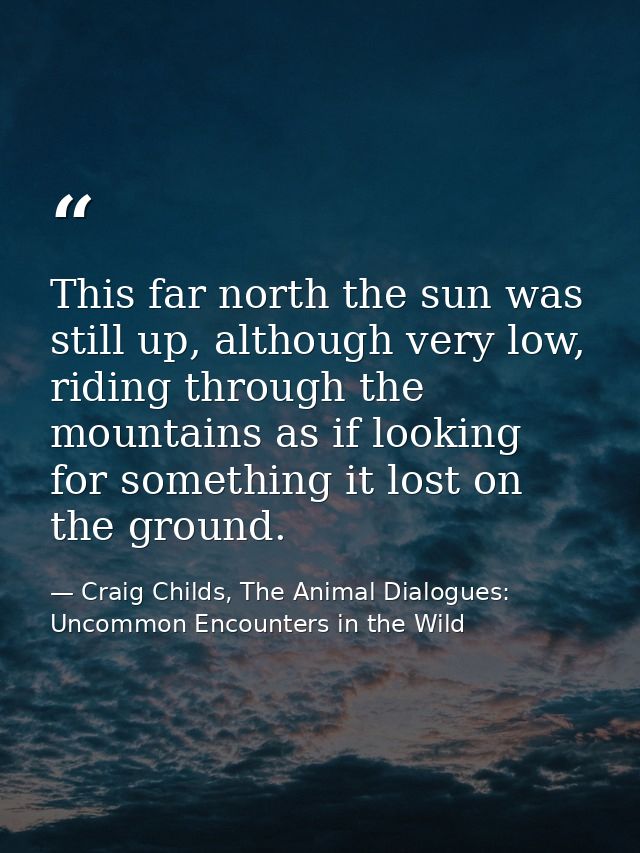 This far north the sun was still up, although very low, riding through the mountains as if looking for something it lost — Craig Childs, The Animal Dialogues: Uncommon Encounters in the Wild