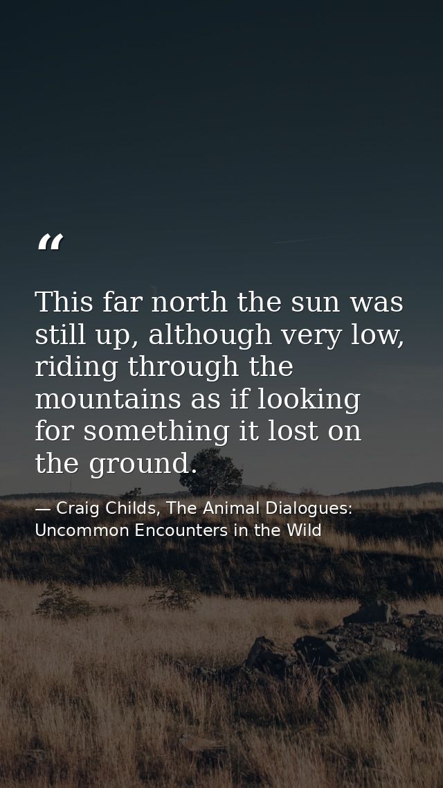 This far north the sun was still up, although very low, riding through the mountains as if looking for something it lost — Craig Childs, The Animal Dialogues: Uncommon Encounters in the Wild