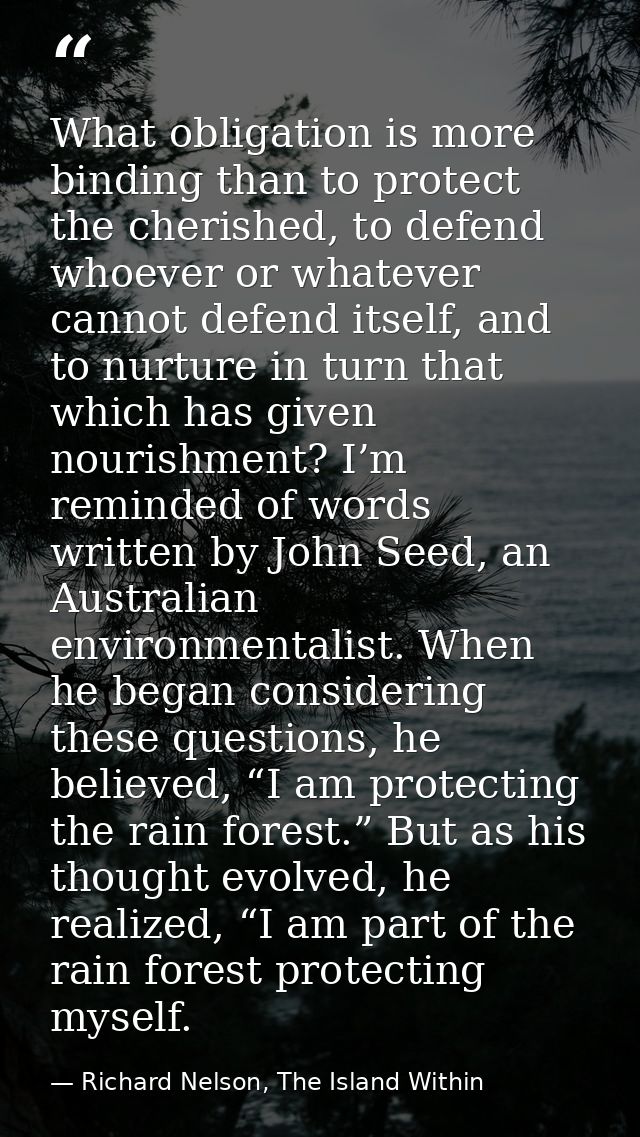 What obligation is more binding than to protect the cherished, to defend whoever or whatever cannot defend itself, and t — Richard Nelson, The Island Within