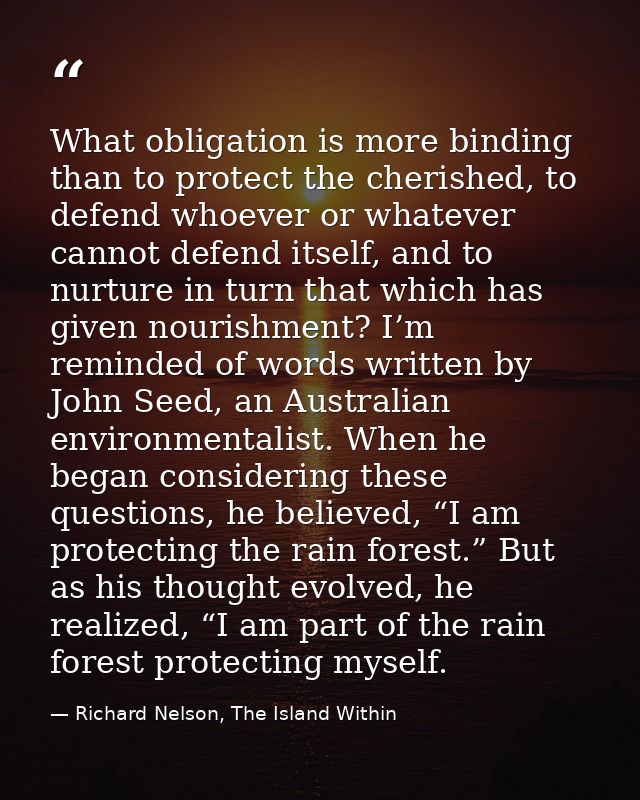 What obligation is more binding than to protect the cherished, to defend whoever or whatever cannot defend itself, and t — Richard Nelson, The Island Within