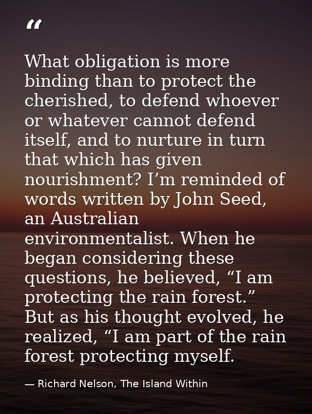 What obligation is more binding than to protect the cherished, to defend whoever or whatever cannot defend itself, and t — Richard Nelson, The Island Within