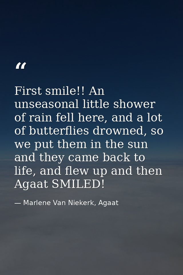 First smile!! An unseasonal little shower of rain fell here, and a lot of butterflies drowned, so we put them in the sun — Marlene Van Niekerk, Agaat