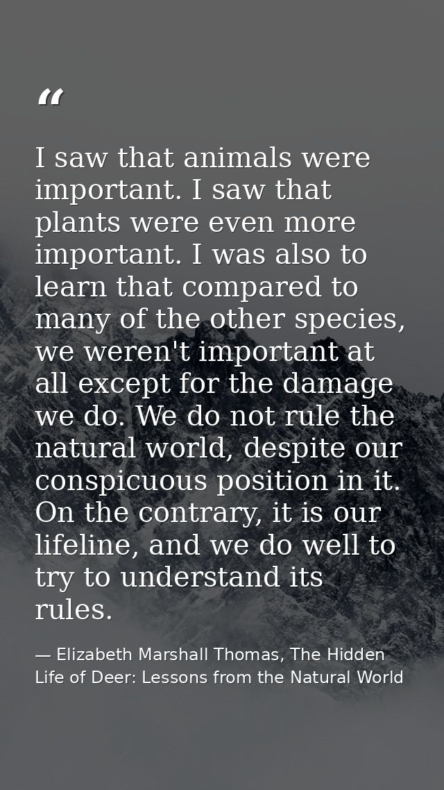 I saw that animals were important. I saw that plants were even more important. I was also to learn that compared to many — Elizabeth Marshall Thomas, The Hidden Life of Deer: Lessons from the Natural World
