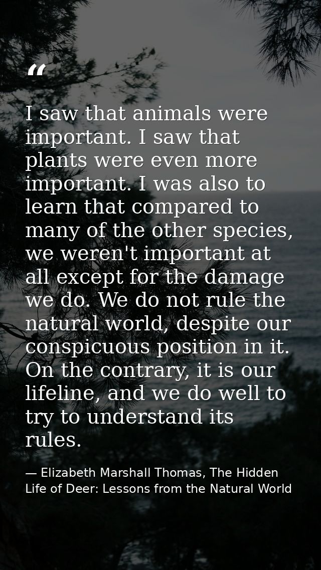 I saw that animals were important. I saw that plants were even more important. I was also to learn that compared to many — Elizabeth Marshall Thomas, The Hidden Life of Deer: Lessons from the Natural World