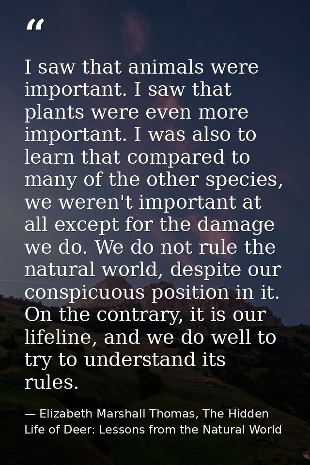I saw that animals were important. I saw that plants were even more important. I was also to learn that compared to many — Elizabeth Marshall Thomas, The Hidden Life of Deer: Lessons from the Natural World