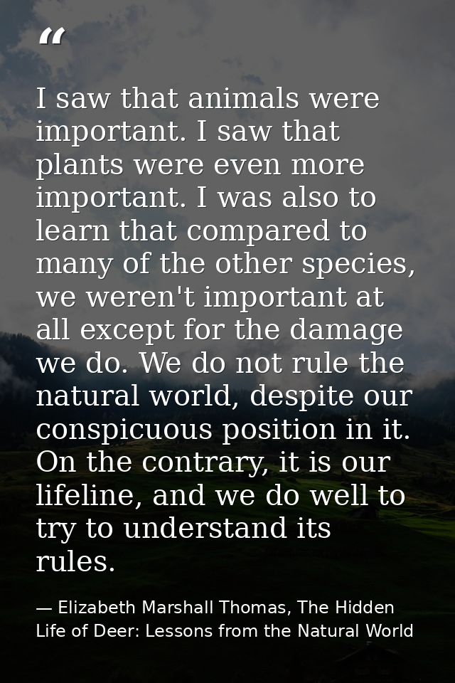 I saw that animals were important. I saw that plants were even more important. I was also to learn that compared to many — Elizabeth Marshall Thomas, The Hidden Life of Deer: Lessons from the Natural World