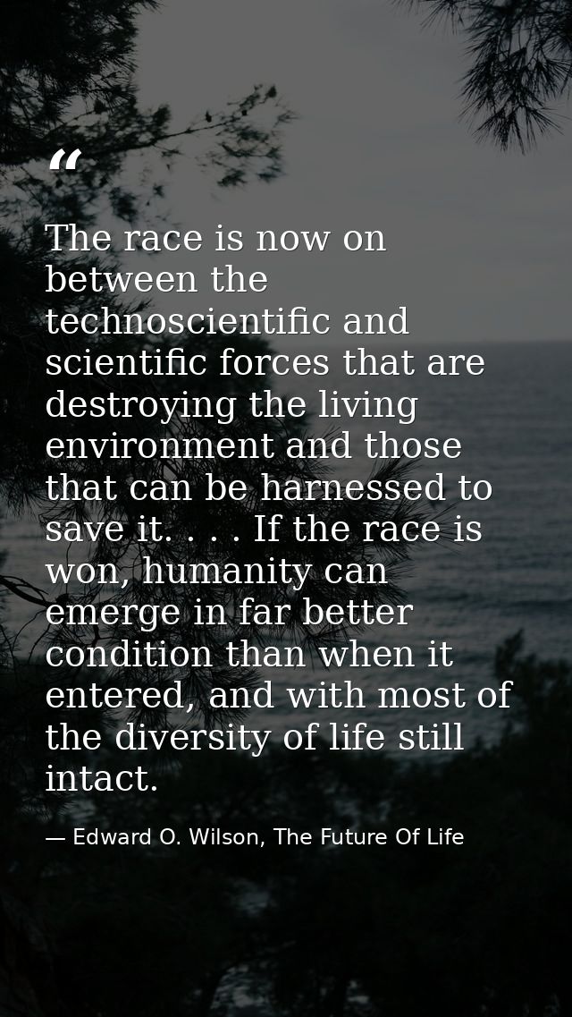 The race is now on between the technoscientific and scientific forces that are destroying the living environment and tho — Edward O. Wilson, The Future Of Life