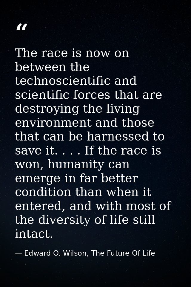 The race is now on between the technoscientific and scientific forces that are destroying the living environment and tho — Edward O. Wilson, The Future Of Life