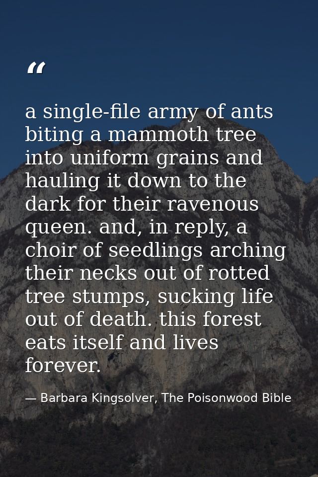 a single-file army of ants biting a mammoth tree into uniform grains and hauling it down to the dark for their ravenous  — Barbara Kingsolver, The Poisonwood Bible