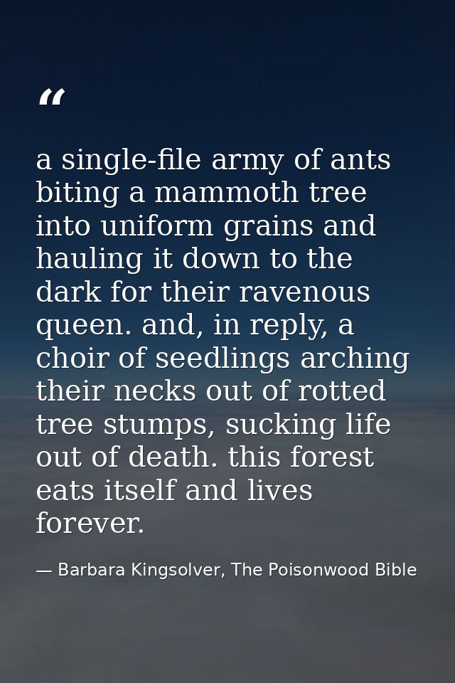 a single-file army of ants biting a mammoth tree into uniform grains and hauling it down to the dark for their ravenous  — Barbara Kingsolver, The Poisonwood Bible