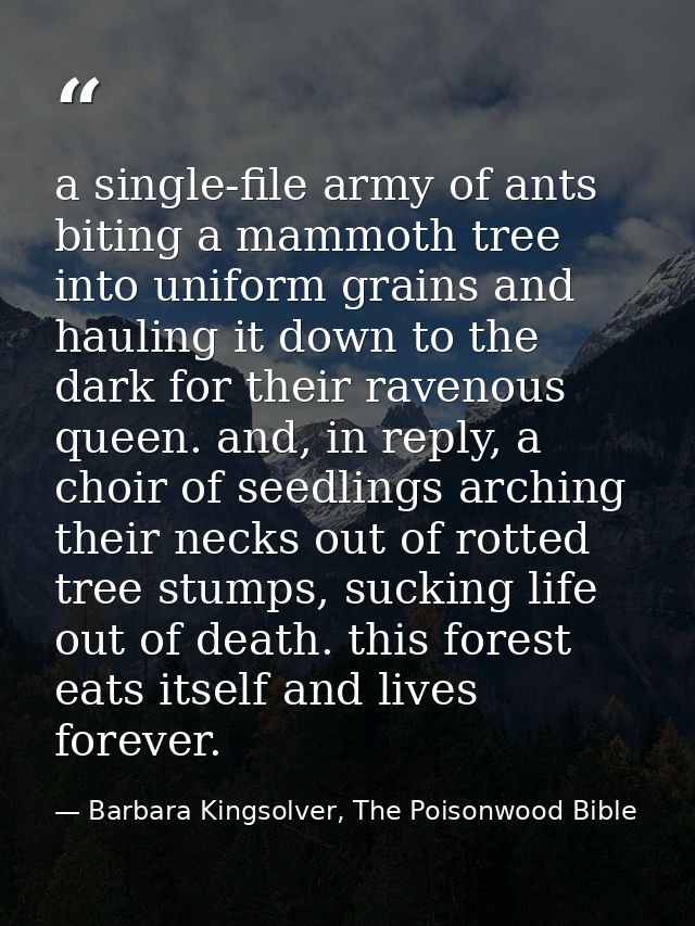 a single-file army of ants biting a mammoth tree into uniform grains and hauling it down to the dark for their ravenous  — Barbara Kingsolver, The Poisonwood Bible