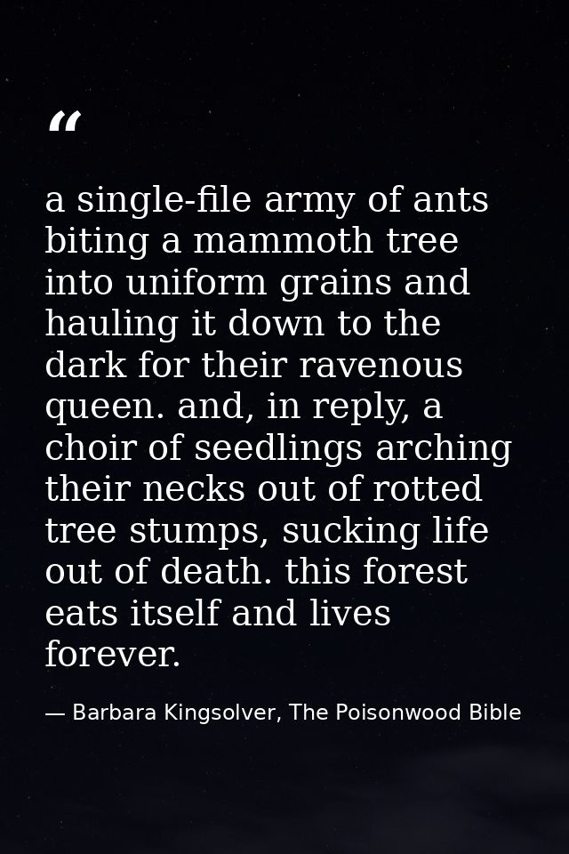 a single-file army of ants biting a mammoth tree into uniform grains and hauling it down to the dark for their ravenous  — Barbara Kingsolver, The Poisonwood Bible