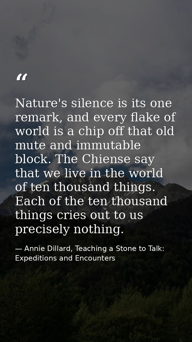 Nature's silence is its one remark, and every flake of world is a chip off that old mute and immutable block. The Chiens — Annie Dillard, Teaching a Stone to Talk: Expeditions and Encounters