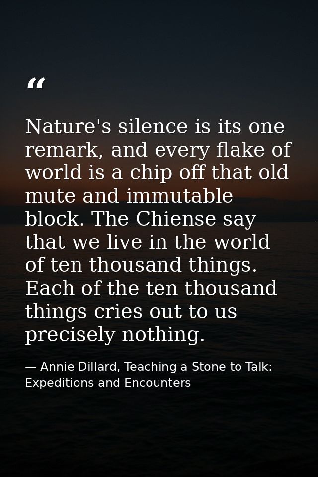 Nature's silence is its one remark, and every flake of world is a chip off that old mute and immutable block. The Chiens — Annie Dillard, Teaching a Stone to Talk: Expeditions and Encounters