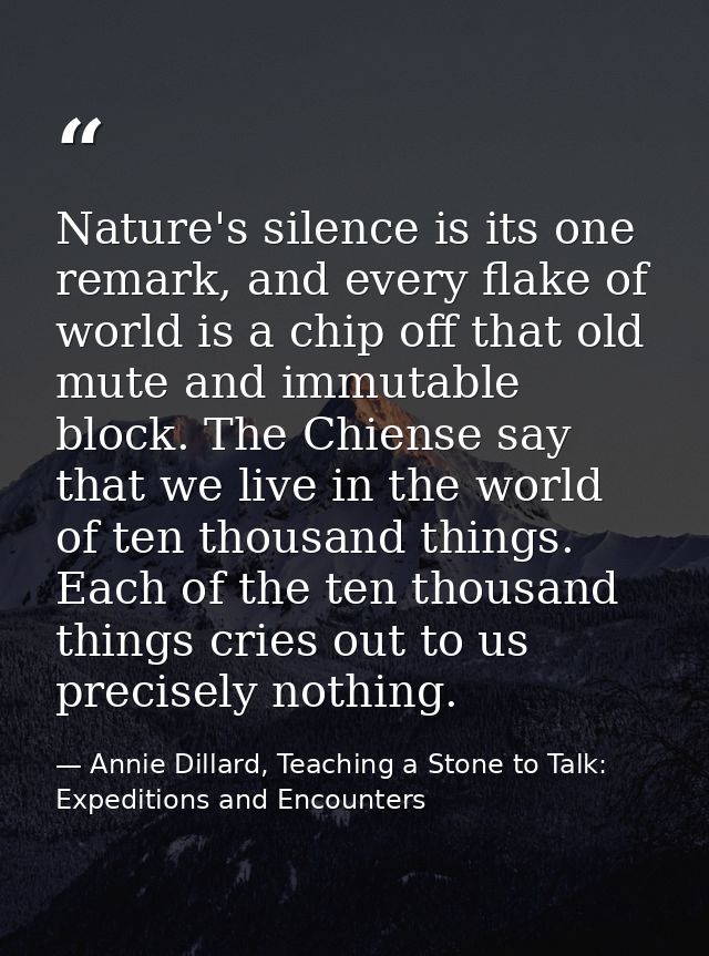Nature's silence is its one remark, and every flake of world is a chip off that old mute and immutable block. The Chiens — Annie Dillard, Teaching a Stone to Talk: Expeditions and Encounters