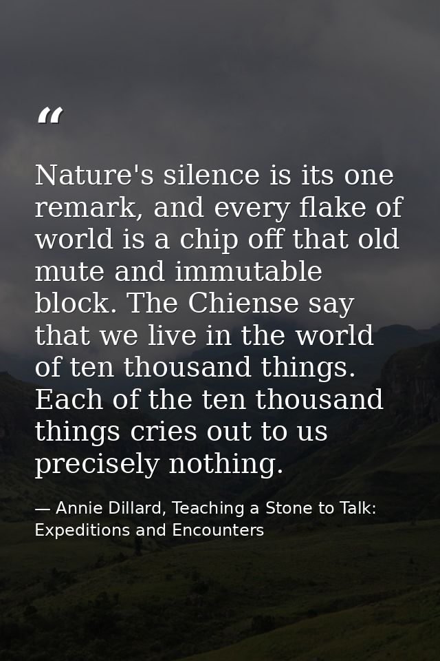 Nature's silence is its one remark, and every flake of world is a chip off that old mute and immutable block. The Chiens — Annie Dillard, Teaching a Stone to Talk: Expeditions and Encounters