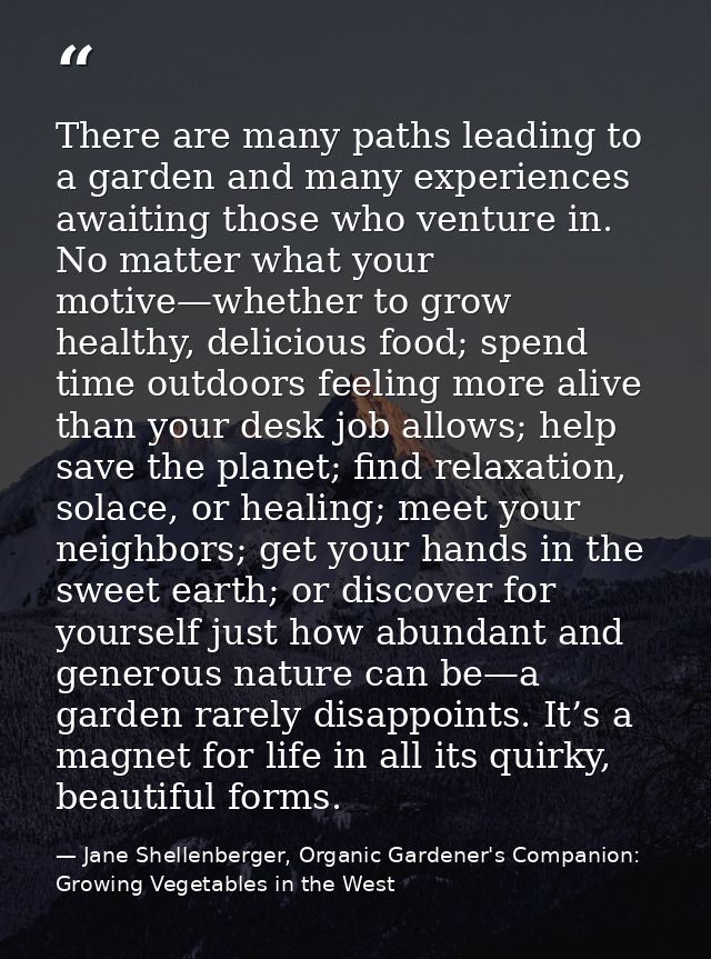 There are many paths leading to a garden and many experiences awaiting those who venture in. No matter what your motive— — Jane Shellenberger, Organic Gardener's Companion: Growing Vegetables in the West
