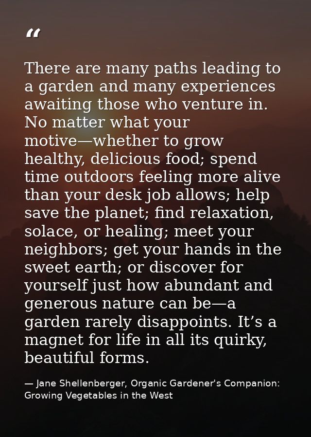 There are many paths leading to a garden and many experiences awaiting those who venture in. No matter what your motive— — Jane Shellenberger, Organic Gardener's Companion: Growing Vegetables in the West