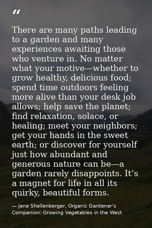 There are many paths leading to a garden and many experiences awaiting those who venture in. No matter what your motive— — Jane Shellenberger, Organic Gardener's Companion: Growing Vegetables in the West