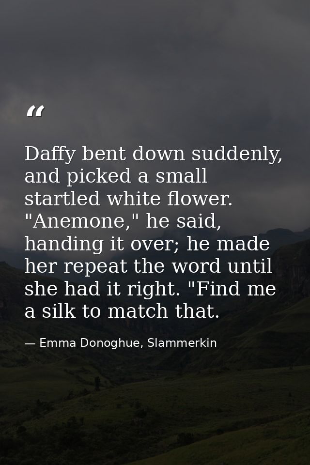 Daffy bent down suddenly, and picked a small startled white flower. "Anemone," he said, handing it over; he made her rep — Emma Donoghue, Slammerkin