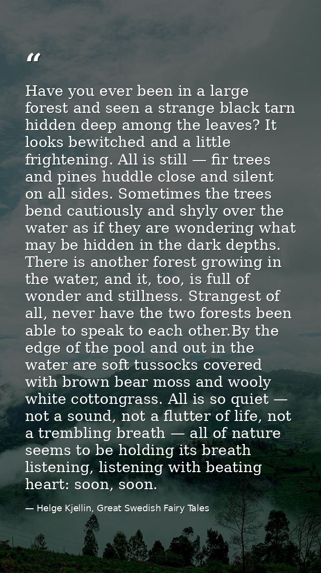 Have you ever been in a large forest and seen a strange black tarn hidden deep among the leaves? It looks bewitched and  — Helge Kjellin, Great Swedish Fairy Tales