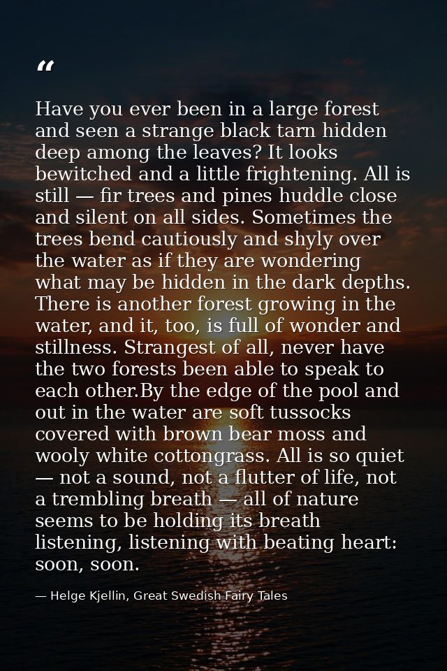 Have you ever been in a large forest and seen a strange black tarn hidden deep among the leaves? It looks bewitched and  — Helge Kjellin, Great Swedish Fairy Tales