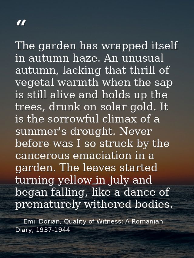 The garden has wrapped itself in autumn haze. An unusual autumn, lacking that thrill of vegetal warmth when the sap is s — Emil Dorian, Quality of Witness: A Romanian Diary, 1937-1944
