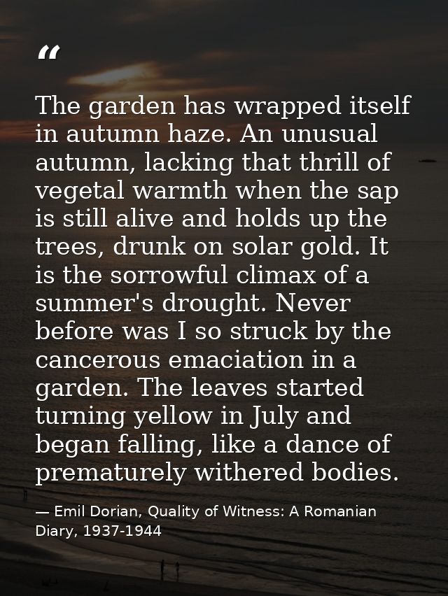 The garden has wrapped itself in autumn haze. An unusual autumn, lacking that thrill of vegetal warmth when the sap is s — Emil Dorian, Quality of Witness: A Romanian Diary, 1937-1944