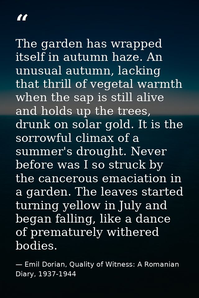 The garden has wrapped itself in autumn haze. An unusual autumn, lacking that thrill of vegetal warmth when the sap is s — Emil Dorian, Quality of Witness: A Romanian Diary, 1937-1944