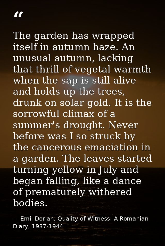 The garden has wrapped itself in autumn haze. An unusual autumn, lacking that thrill of vegetal warmth when the sap is s — Emil Dorian, Quality of Witness: A Romanian Diary, 1937-1944