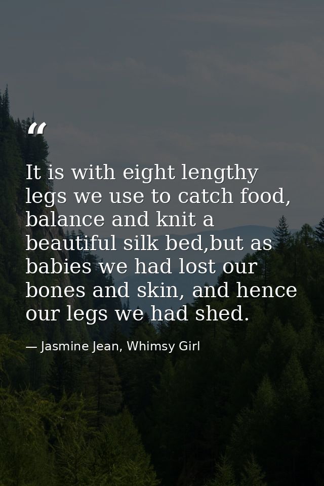 It is with eight lengthy legs we use to catch food, balance and knit a beautiful silk bed,but as babies we had lost our  — Jasmine Jean, Whimsy Girl