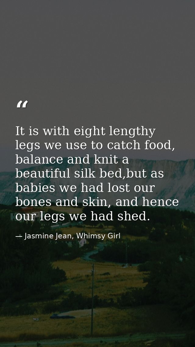 It is with eight lengthy legs we use to catch food, balance and knit a beautiful silk bed,but as babies we had lost our  — Jasmine Jean, Whimsy Girl