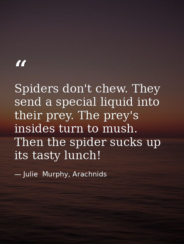 Spiders don't chew. They send a special liquid into their prey. The prey's insides turn to mush. Then the spider sucks u — Julie  Murphy, Arachnids