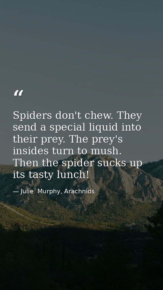 Spiders don't chew. They send a special liquid into their prey. The prey's insides turn to mush. Then the spider sucks u — Julie  Murphy, Arachnids