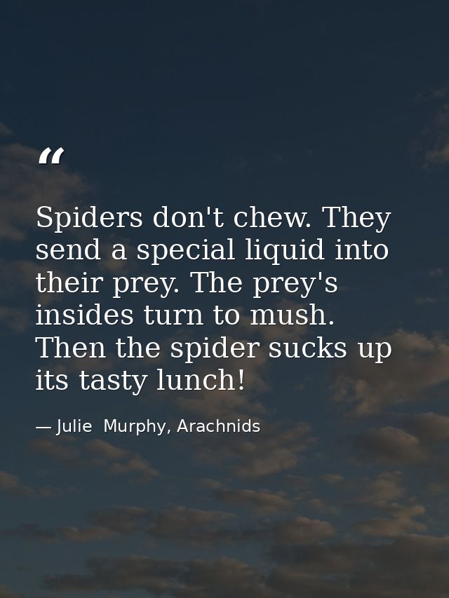 Spiders don't chew. They send a special liquid into their prey. The prey's insides turn to mush. Then the spider sucks u — Julie  Murphy, Arachnids