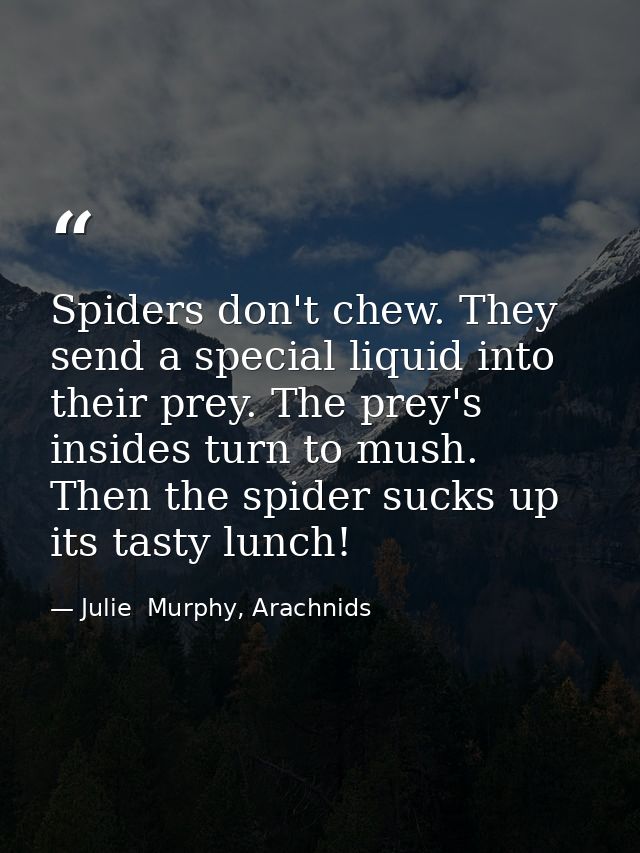Spiders don't chew. They send a special liquid into their prey. The prey's insides turn to mush. Then the spider sucks u — Julie  Murphy, Arachnids