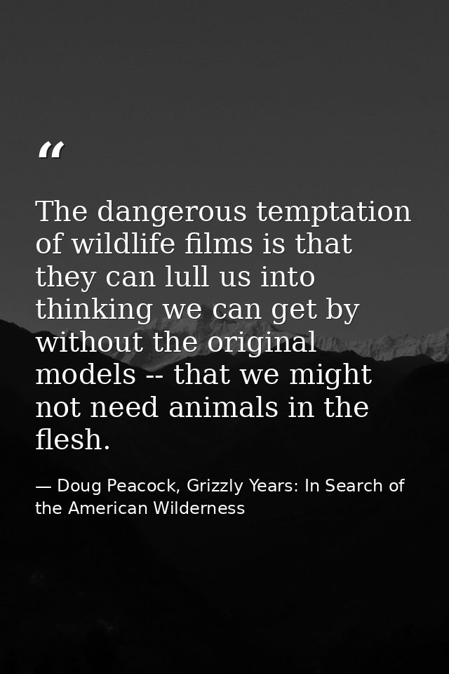 The dangerous temptation of wildlife films is that they can lull us into thinking we can get by without the original mod — Doug Peacock, Grizzly Years: In Search of the American Wilderness