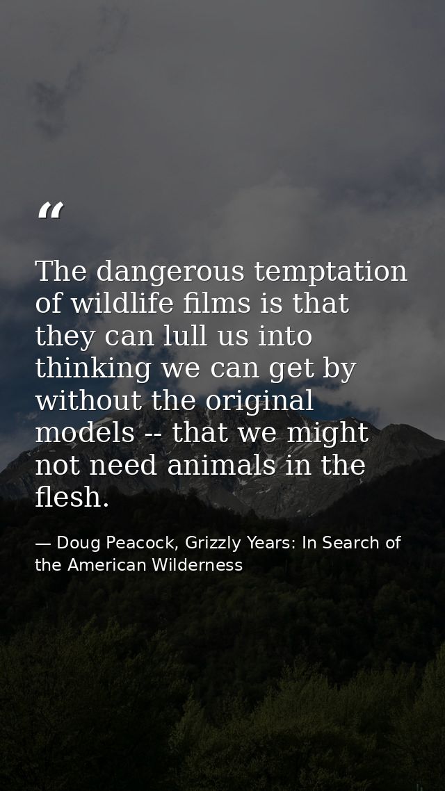 The dangerous temptation of wildlife films is that they can lull us into thinking we can get by without the original mod — Doug Peacock, Grizzly Years: In Search of the American Wilderness