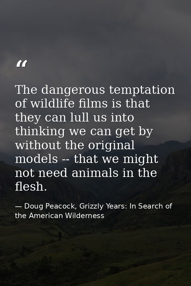 The dangerous temptation of wildlife films is that they can lull us into thinking we can get by without the original mod — Doug Peacock, Grizzly Years: In Search of the American Wilderness