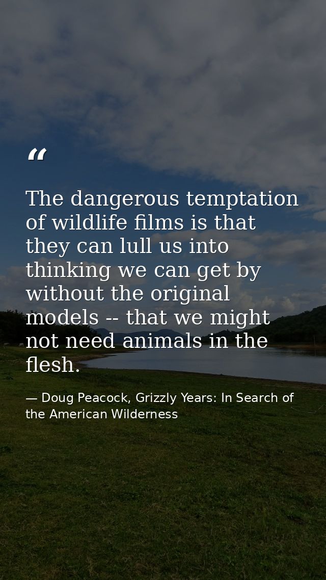 The dangerous temptation of wildlife films is that they can lull us into thinking we can get by without the original mod — Doug Peacock, Grizzly Years: In Search of the American Wilderness