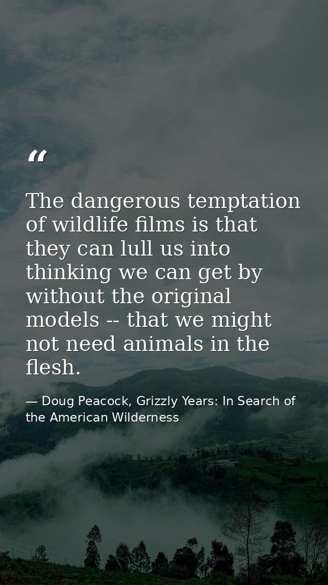 The dangerous temptation of wildlife films is that they can lull us into thinking we can get by without the original mod — Doug Peacock, Grizzly Years: In Search of the American Wilderness
