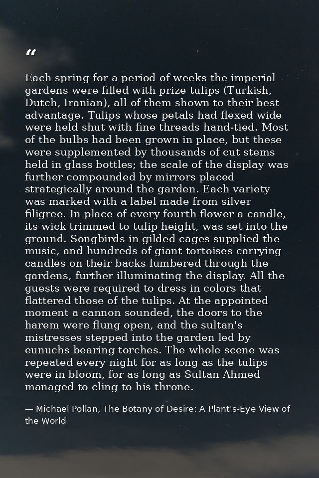 Each spring for a period of weeks the imperial gardens were filled with prize tulips (Turkish, Dutch, Iranian), all of t — Michael Pollan, The Botany of Desire: A Plant's-Eye View of the World