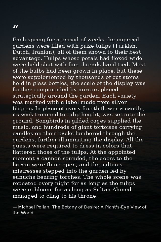 Each spring for a period of weeks the imperial gardens were filled with prize tulips (Turkish, Dutch, Iranian), all of t — Michael Pollan, The Botany of Desire: A Plant's-Eye View of the World