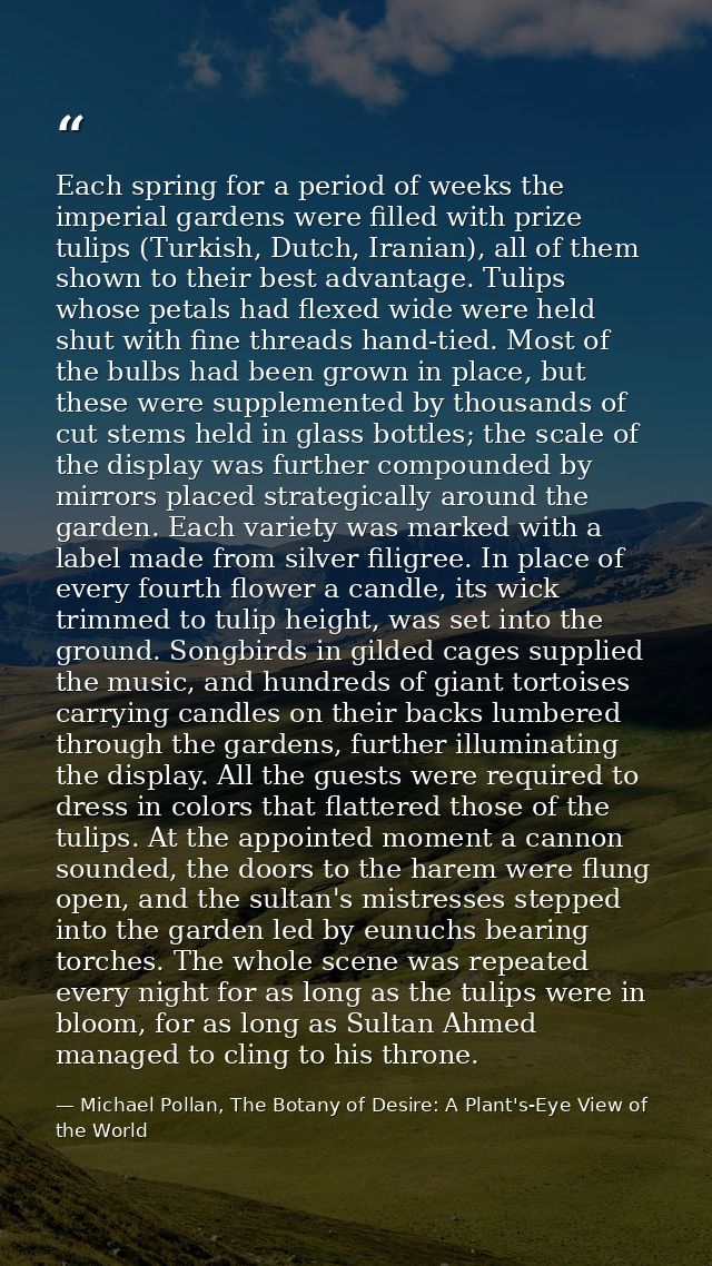 Each spring for a period of weeks the imperial gardens were filled with prize tulips (Turkish, Dutch, Iranian), all of t — Michael Pollan, The Botany of Desire: A Plant's-Eye View of the World