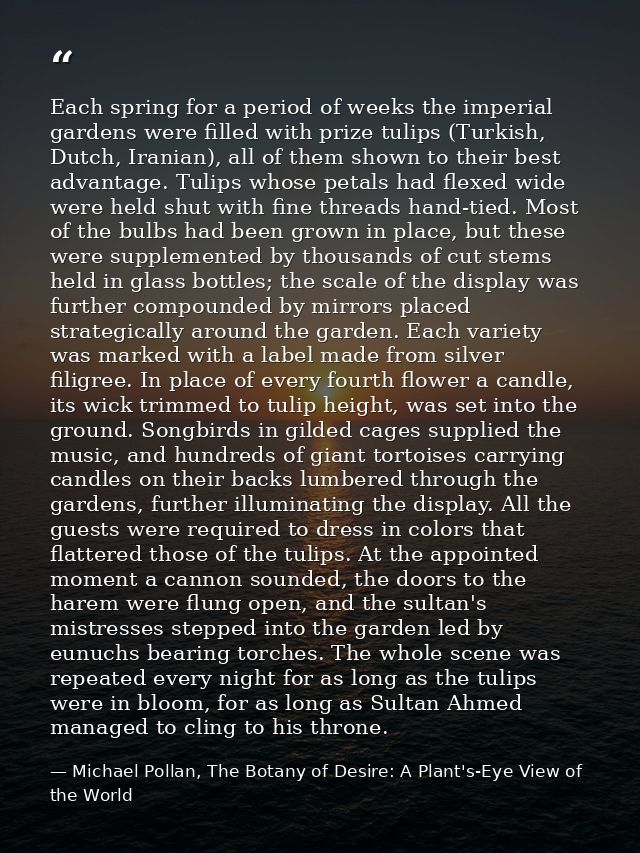 Each spring for a period of weeks the imperial gardens were filled with prize tulips (Turkish, Dutch, Iranian), all of t — Michael Pollan, The Botany of Desire: A Plant's-Eye View of the World