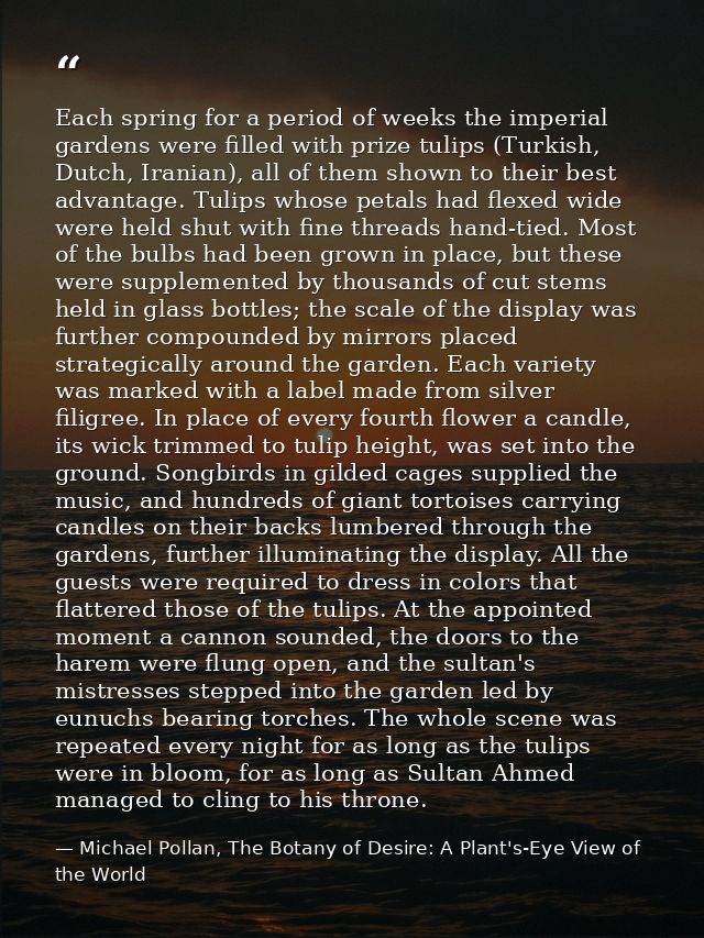 Each spring for a period of weeks the imperial gardens were filled with prize tulips (Turkish, Dutch, Iranian), all of t — Michael Pollan, The Botany of Desire: A Plant's-Eye View of the World